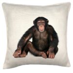 Cojín Chimpancé