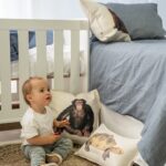 Cojín Chimpancé - Imagen 3
