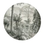 Pack 4 Bajoplatos Landscape